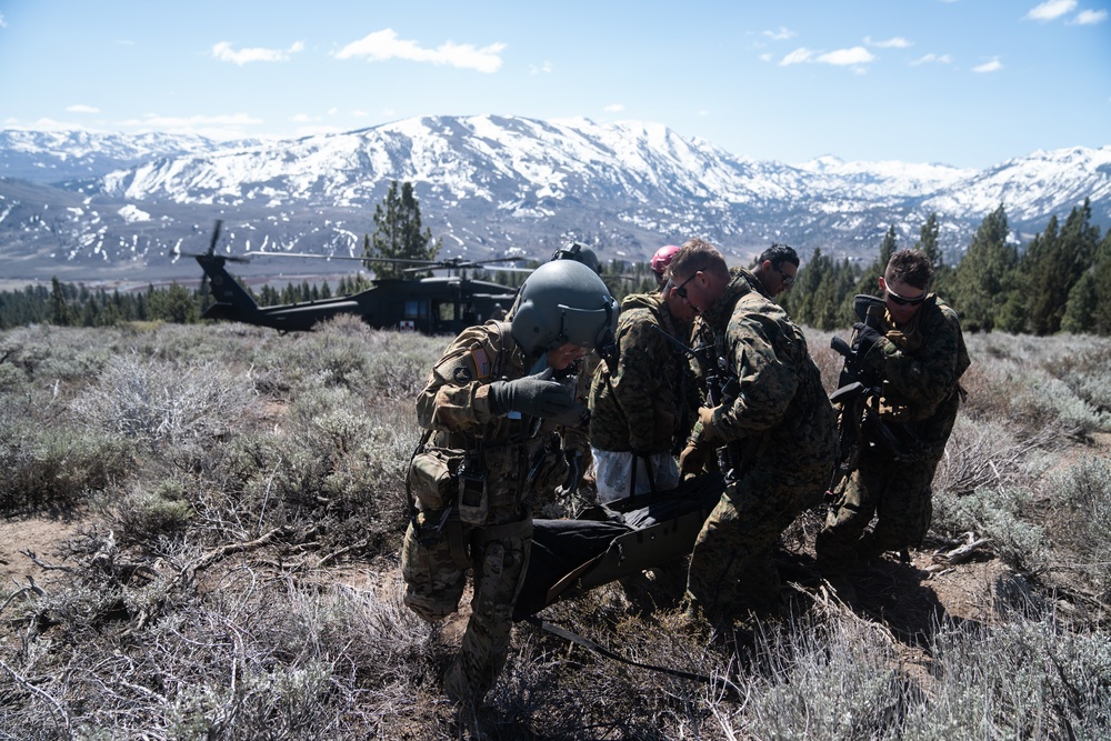 Marines and Sailors evacuate simulated casualties during MTX