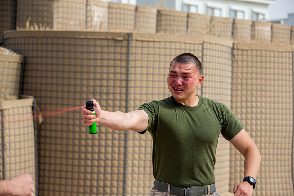 Marines Conduct Non-lethal Weapons Training