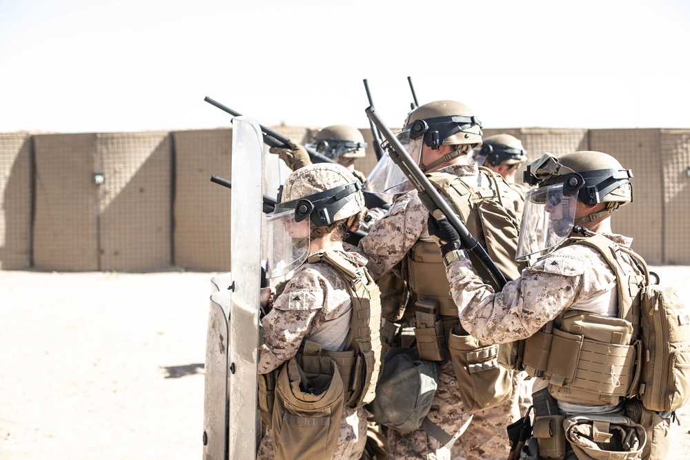 SPMAGTF-CR-CC: Non-lethal Weapons Training