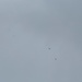 Thunder Over Louisville 2021