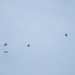 Thunder air show features Kentucky Air Guard, P-51s