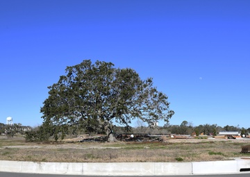 Division Street gate construction update