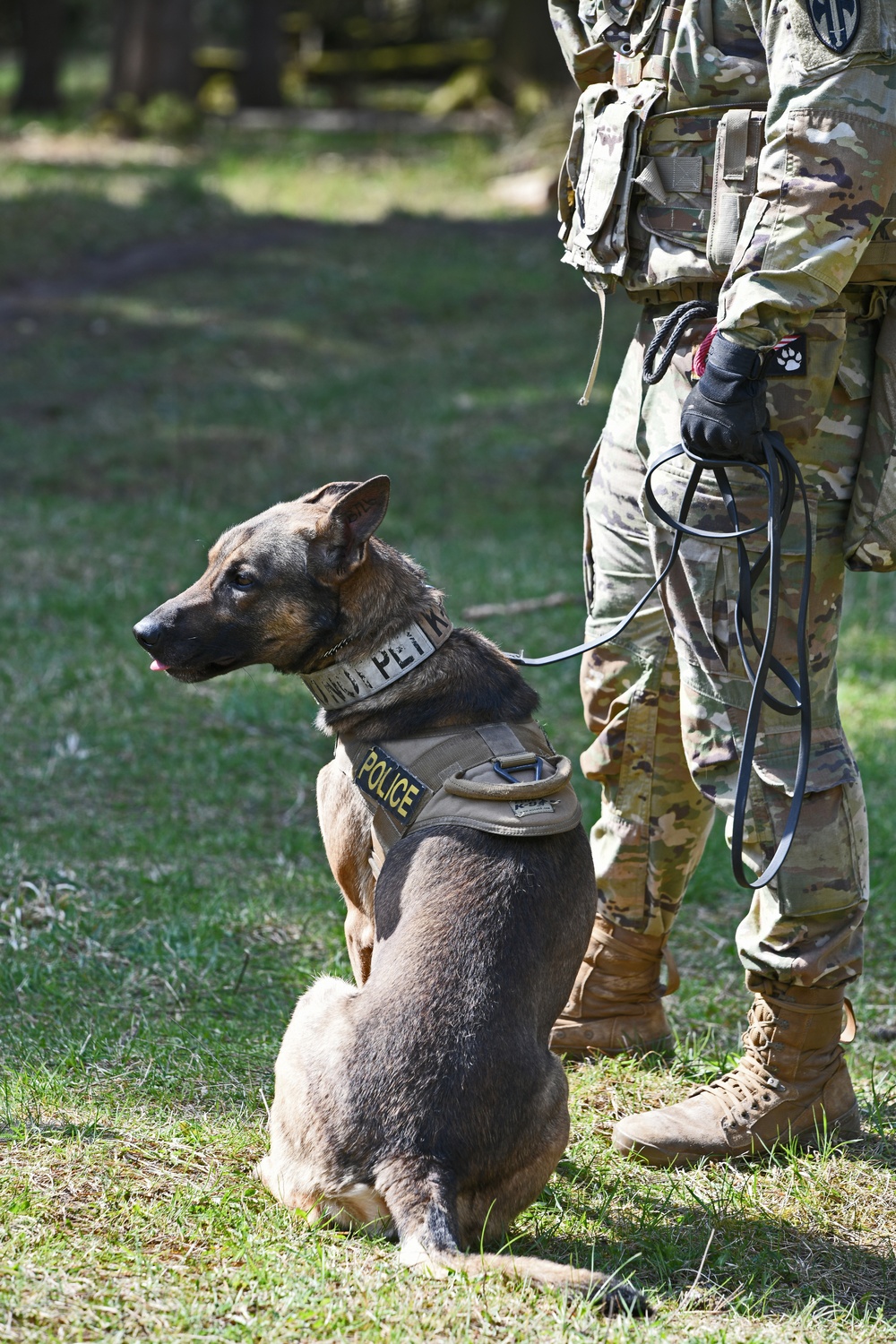 Stuttgart Holds Annual K-9 Certification