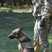Stuttgart Holds Annual K-9 Certification