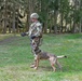Stuttgart Holds Annual K-9 Certification