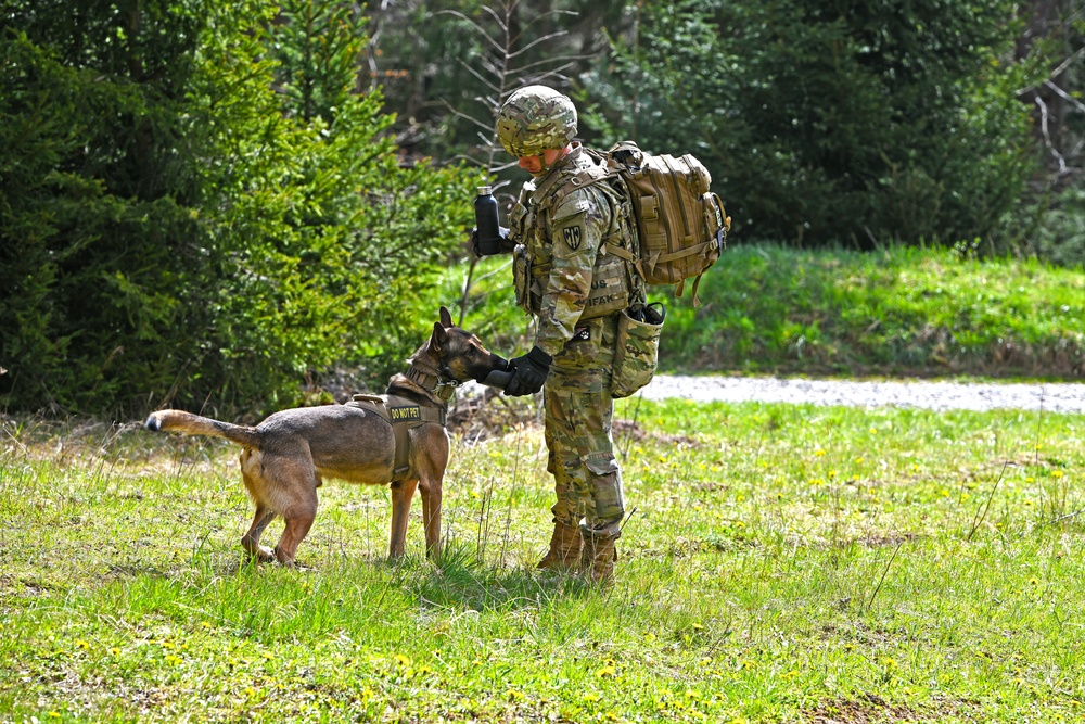 Stuttgart Holds Annual K-9 Certification