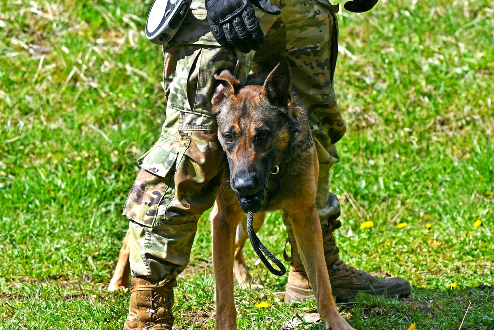 Stuttgart Holds Annual K-9 Certification