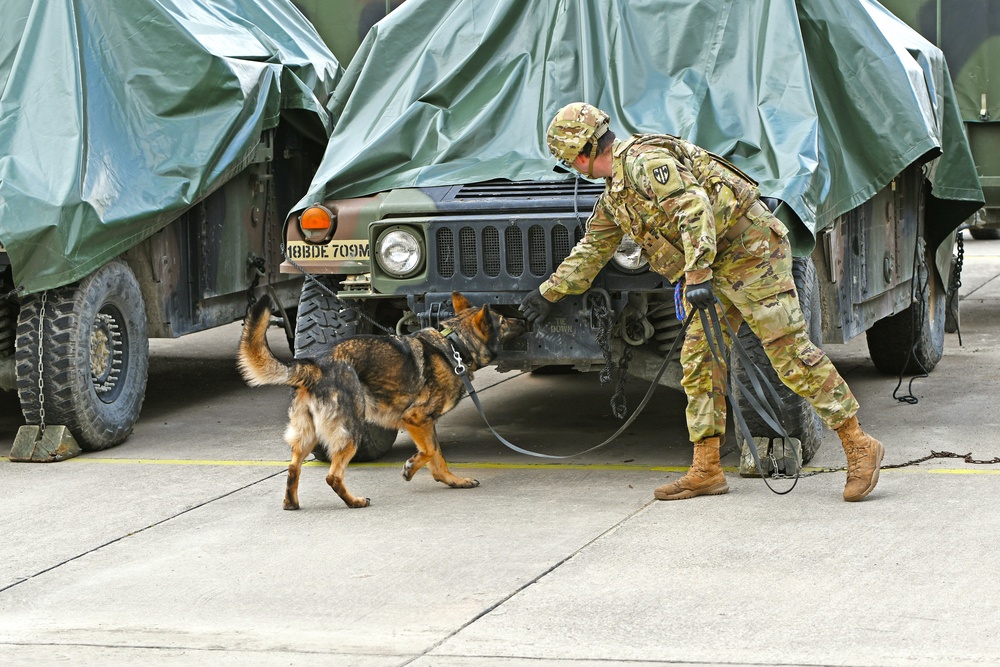 Stuttgart Holds Annual K-9 Certification
