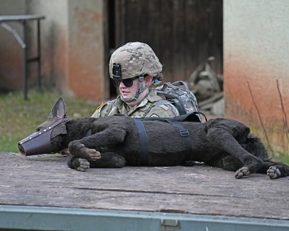 Save the life of Soldiers with paws
