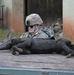 Save the life of Soldiers with paws