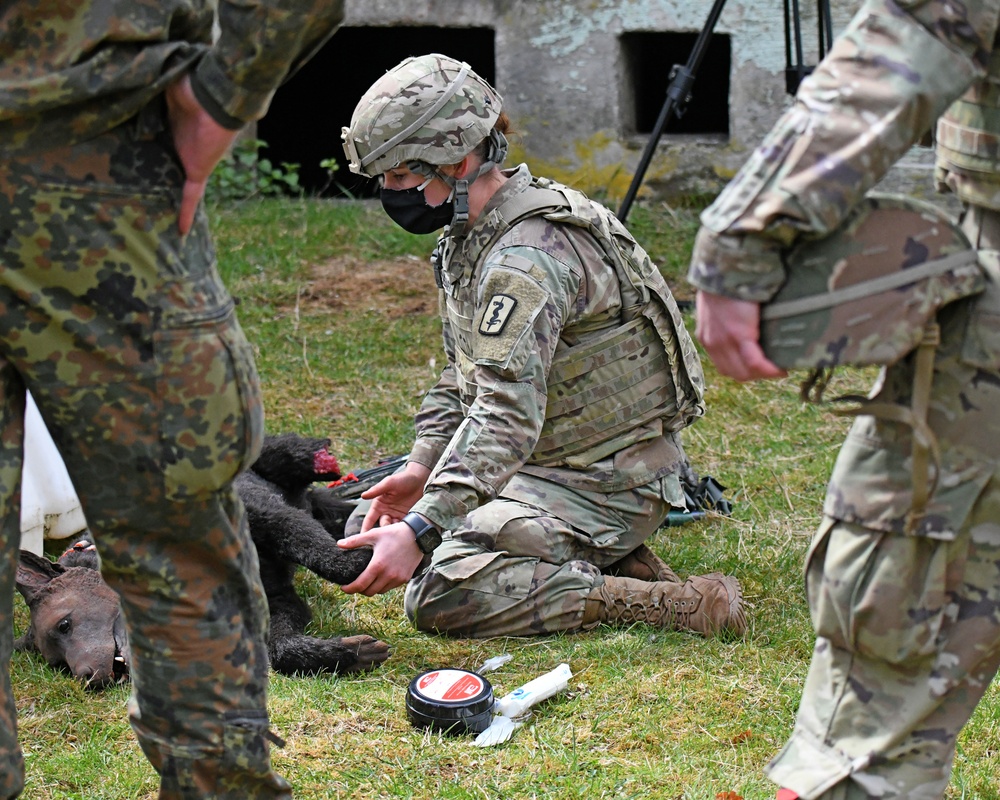 Save the life of Soldiers with paws