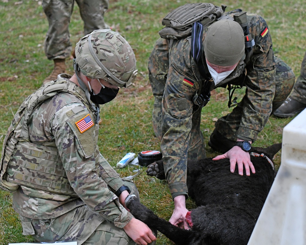 Save the life of Soldiers with paws