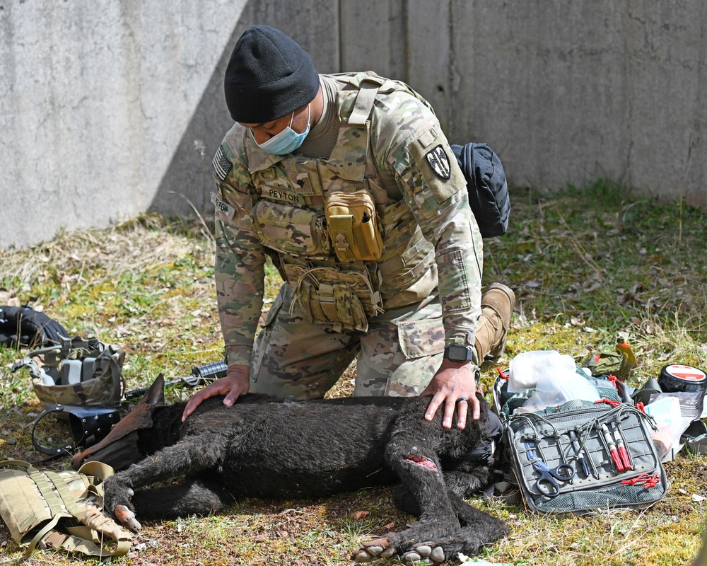 Save the life of Soldiers with paws