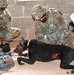 Save the life of Soldiers with paws