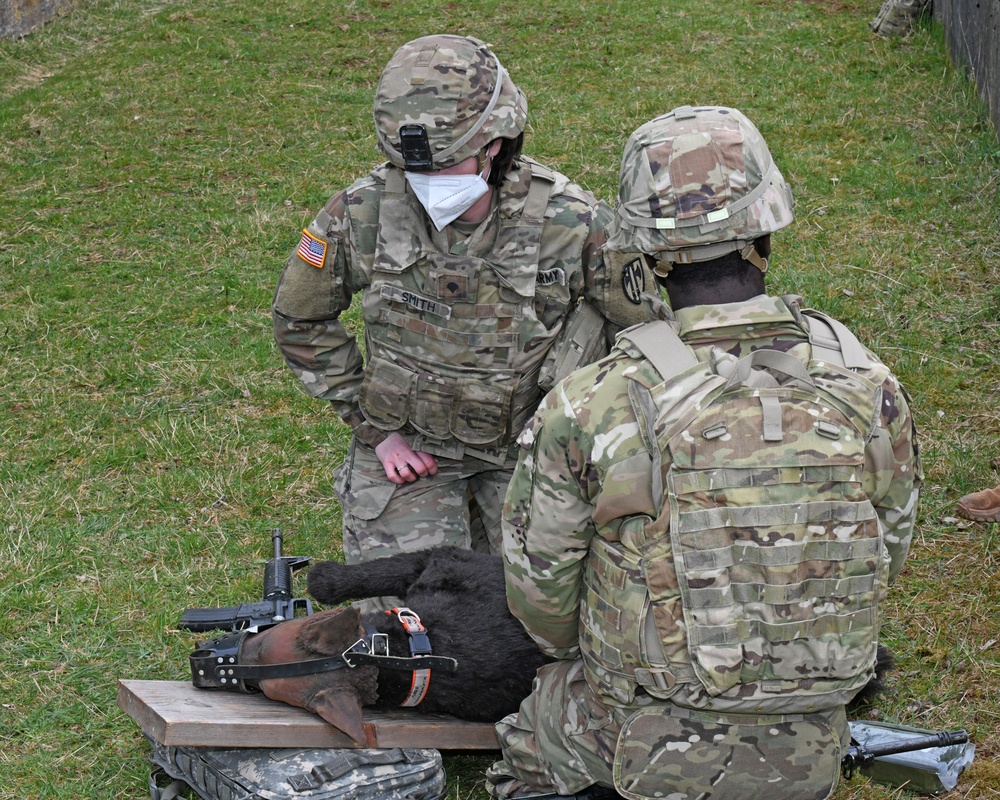 Save the life of Soldiers with paws