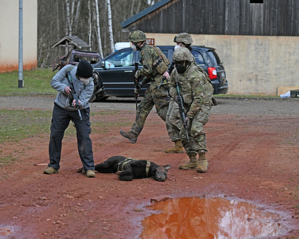Save the life of Soldiers with paws