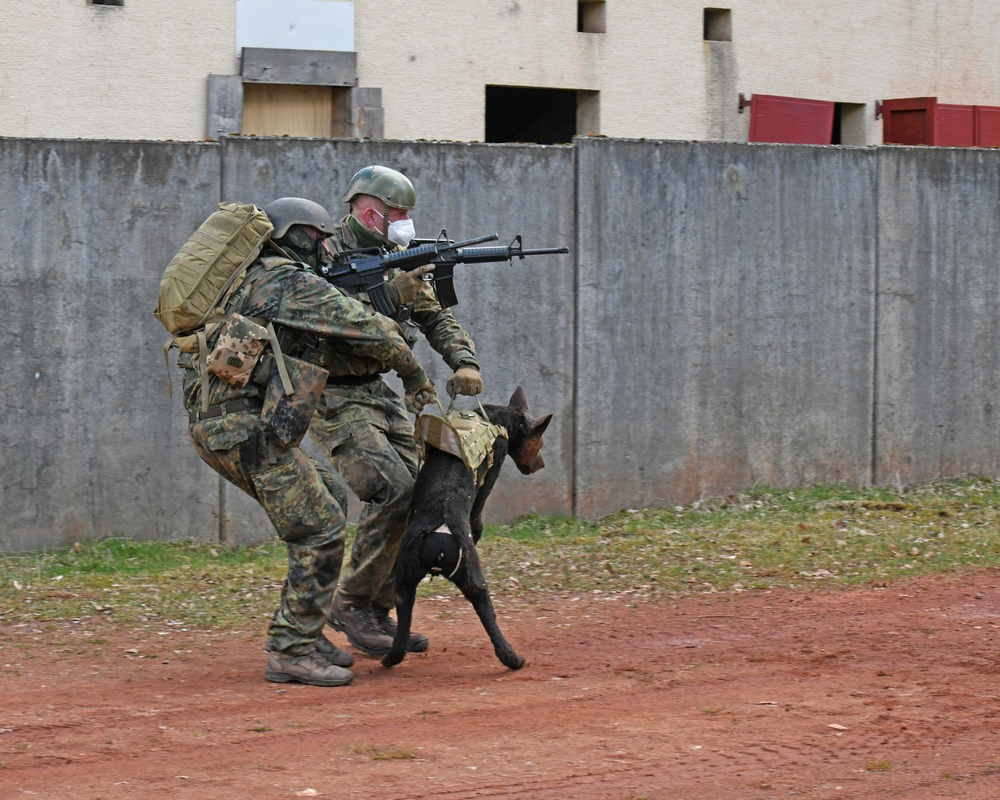 Save the life of Soldiers with paws