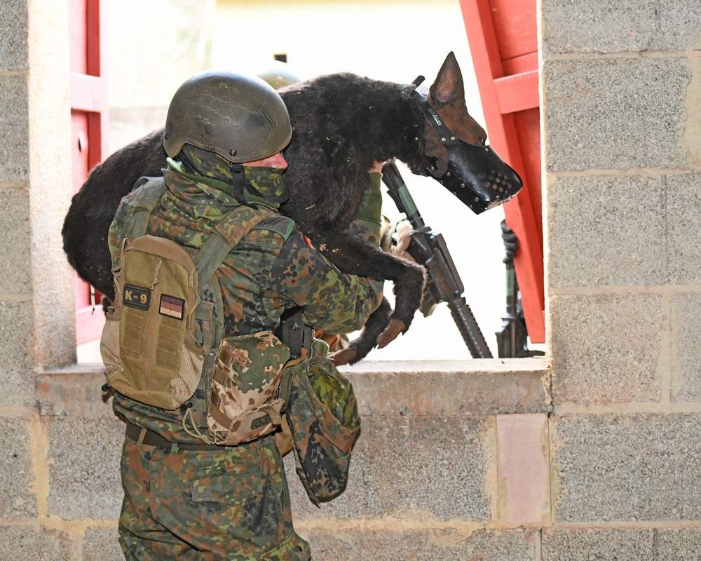 Save the life of Soldiers with paws