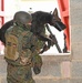 Save the life of Soldiers with paws