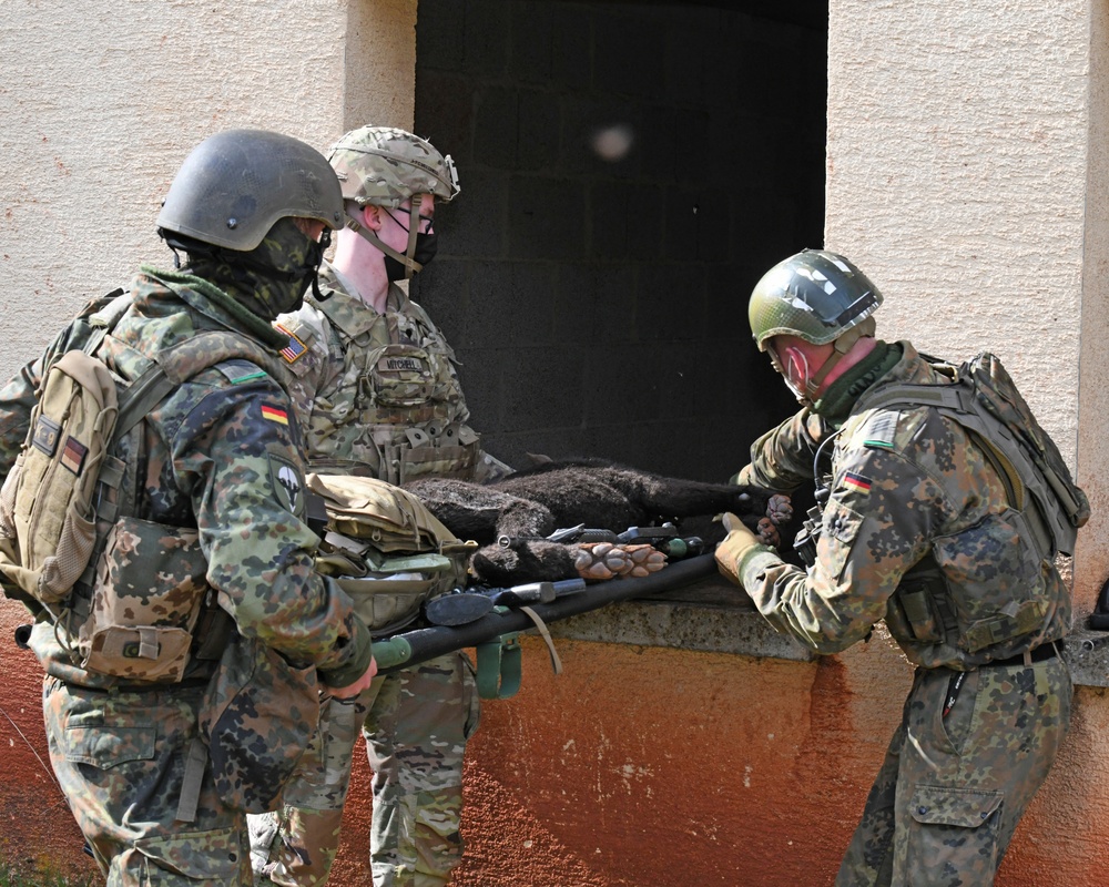 Save the life of Soldiers with paws