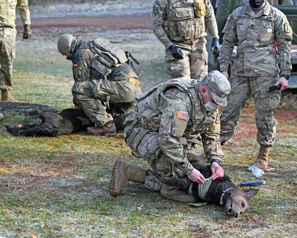 Save the life of Soldiers with paws