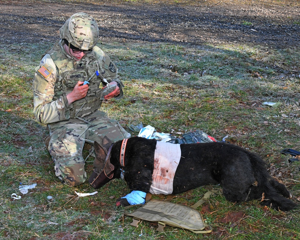 Save the life of Soldiers with paws