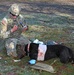 Save the life of Soldiers with paws
