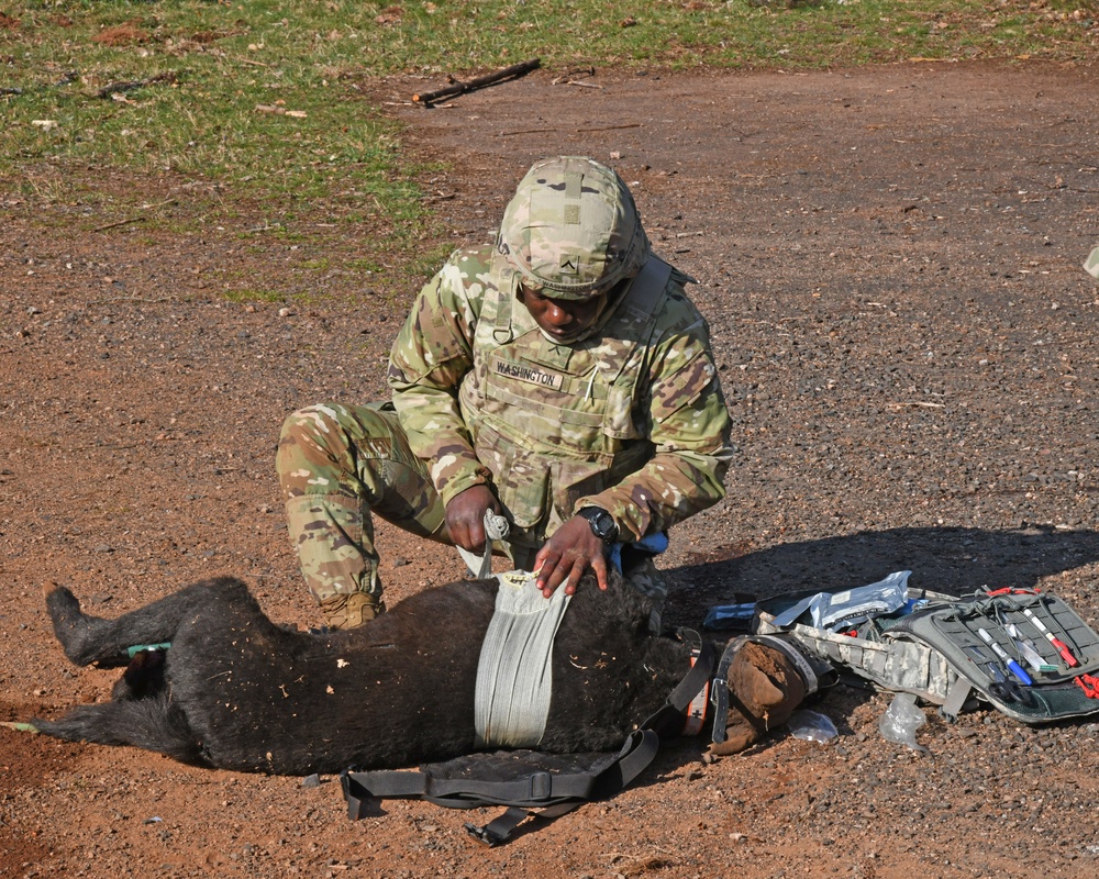 Save the life of Soldiers with paws