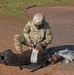 Save the life of Soldiers with paws