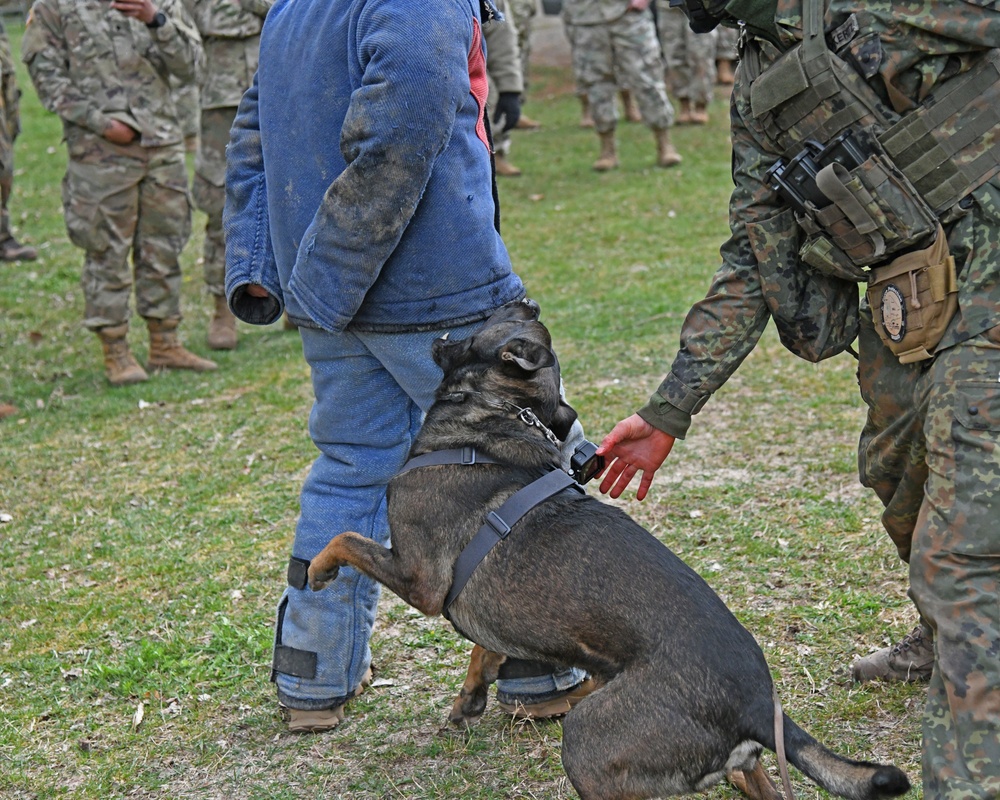 Save the life of Soldiers with paws