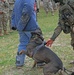 Save the life of Soldiers with paws