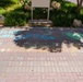 Chalk the Walk
