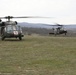 3-1 Assault Helicopter Battalion and 2-5 Cavalry Are Ready To Fight