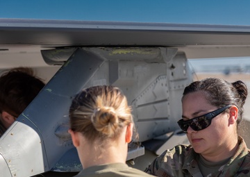 Red Tails train with Marines in Yuma