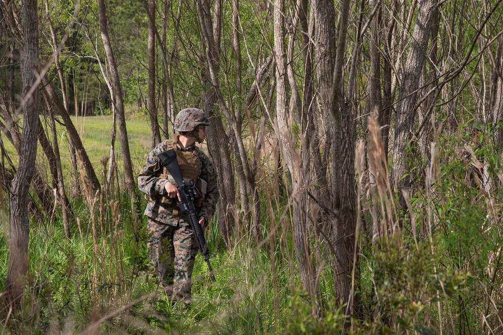 Immediate action drills during Dynamic Cape 21.1