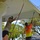 36th HCOS Airmen, mayor’s staff paint Agat bus stops 36th HCOS Airmen, mayor’s staff paint Agat bus stops