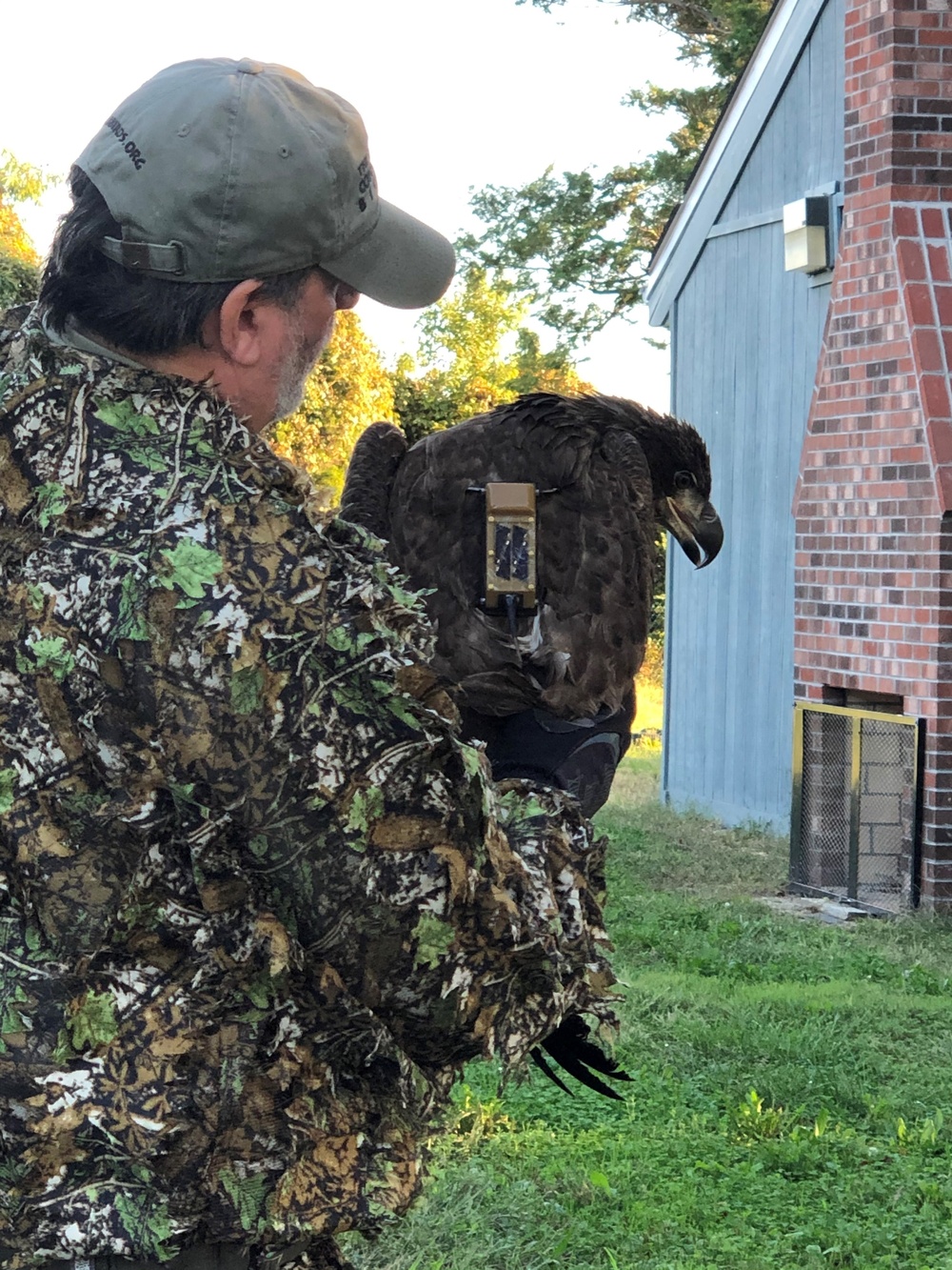 NAVFAC Washington Facilitates Bald Eagle Protection in Chesapeake Bay Region