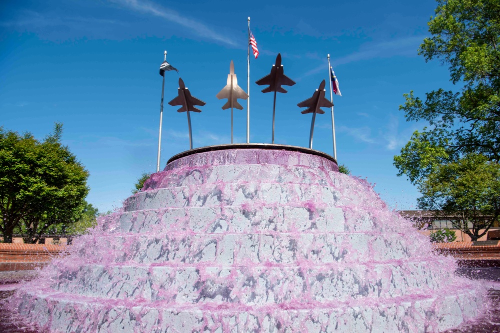 SJAFB Purple Up Day