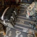 Washington Guard Captain embraces opportunities while on unique deployment