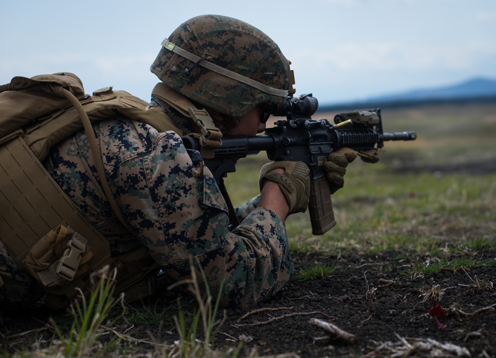 U.S. Marines with 3/3 conduct Fuji Viper 21.3