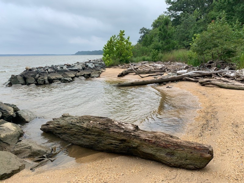 Shoreline Management is a Priority for NAVFAC Washington