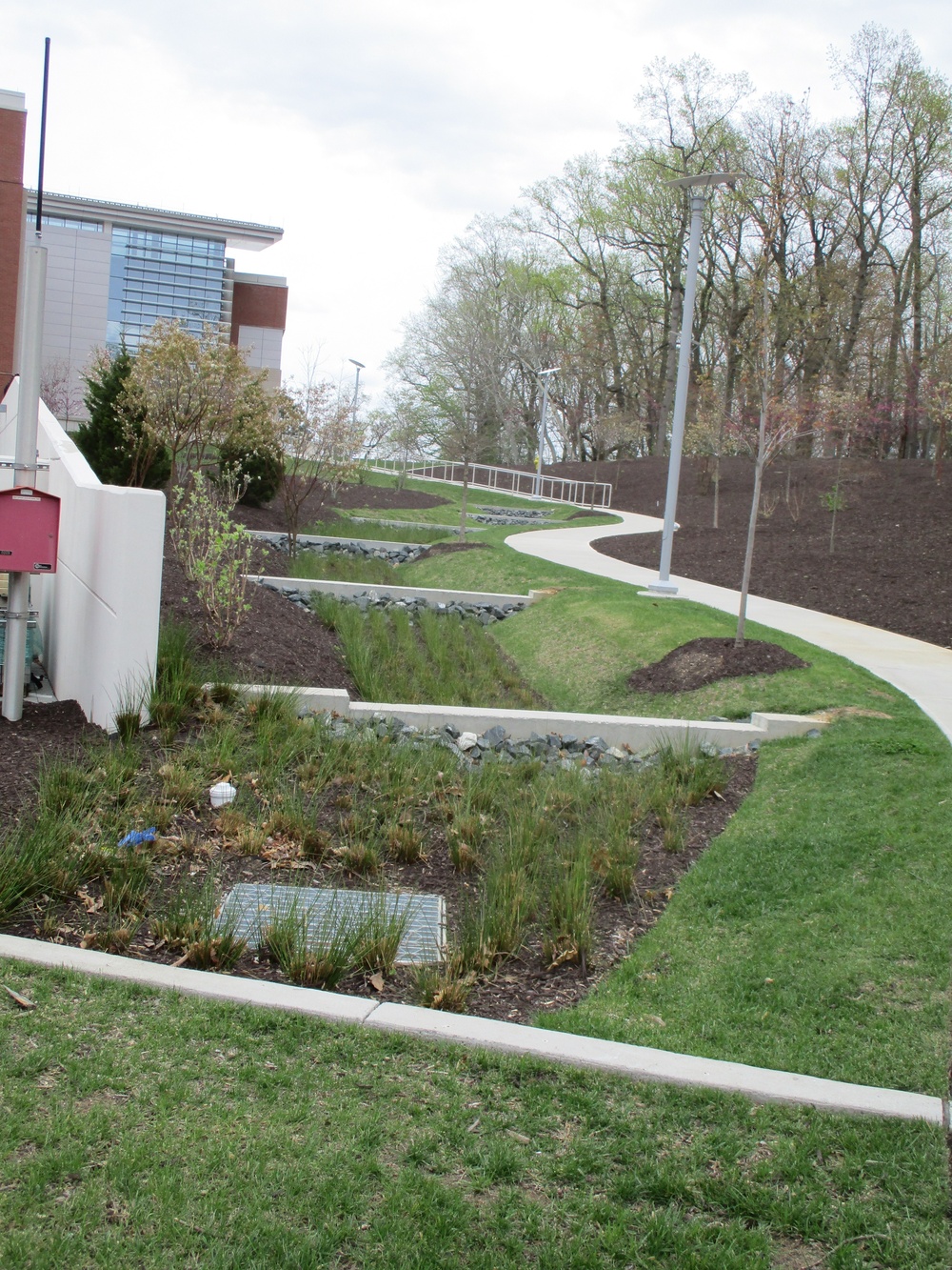 Bioretention BMP at NSA Annapolis