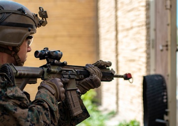 BLT 1/1, 11th MEU Conducts Heliborne Raid at MCB Camp Pendleton