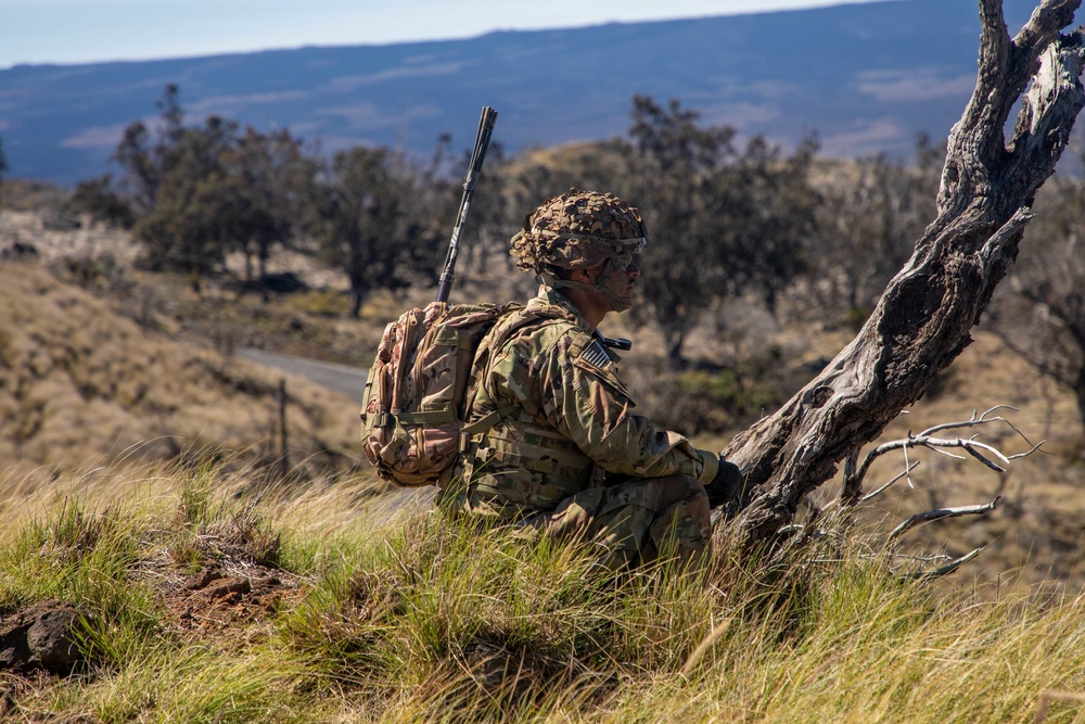 Scout Section Reconnaissance Lanes