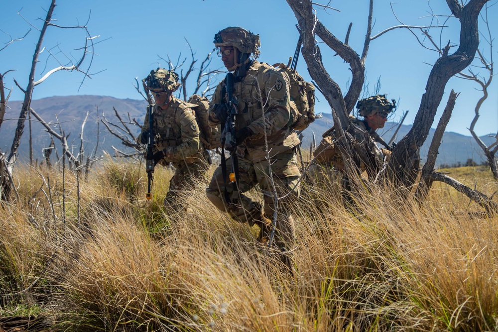 Scout Section Reconnaissance Lanes