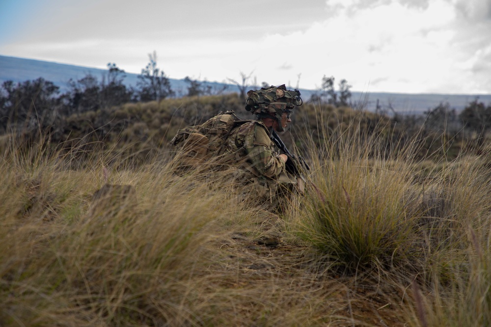 Scout Section Reconnaissance Lanes