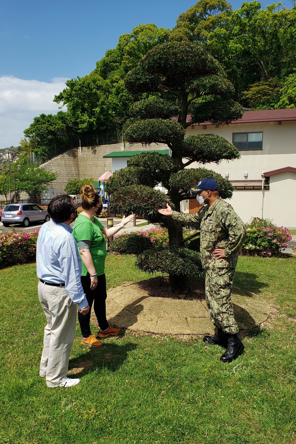 Tree Relocation on CFAS