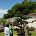 Tree Relocation on CFAS