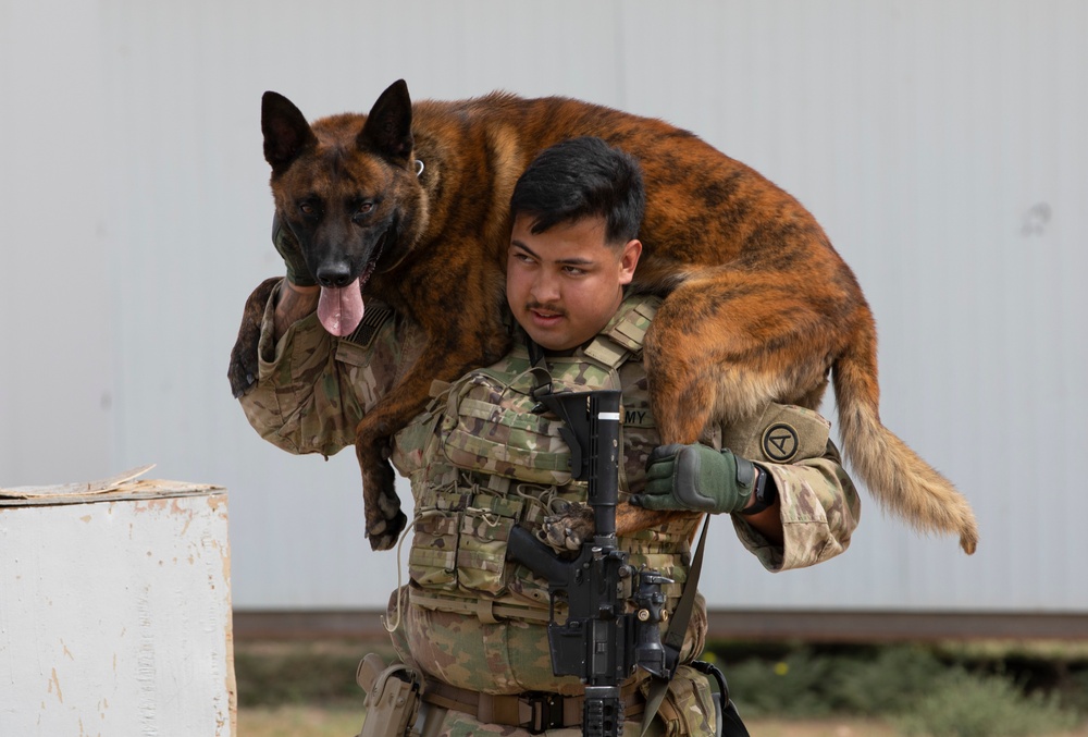 ARCENT K-9 Conducts EOD Training