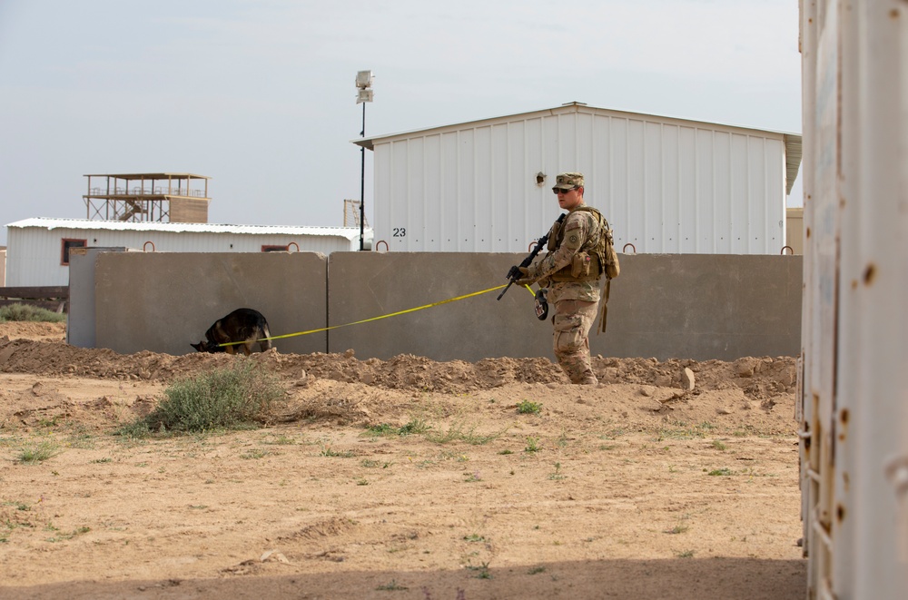 ARCENT K-9 Conducts EOD Training